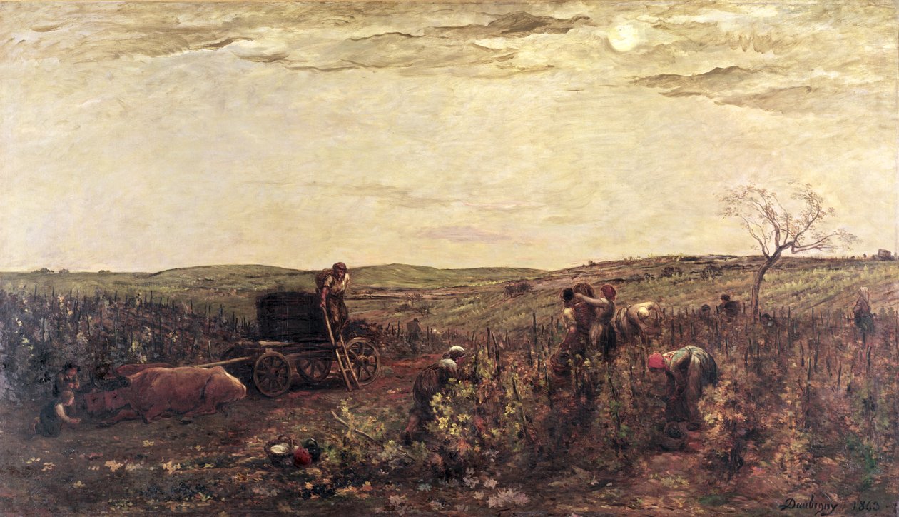Zbiór wina w Burgundii, 1863 r. autorstwa Charles Francois Daubigny