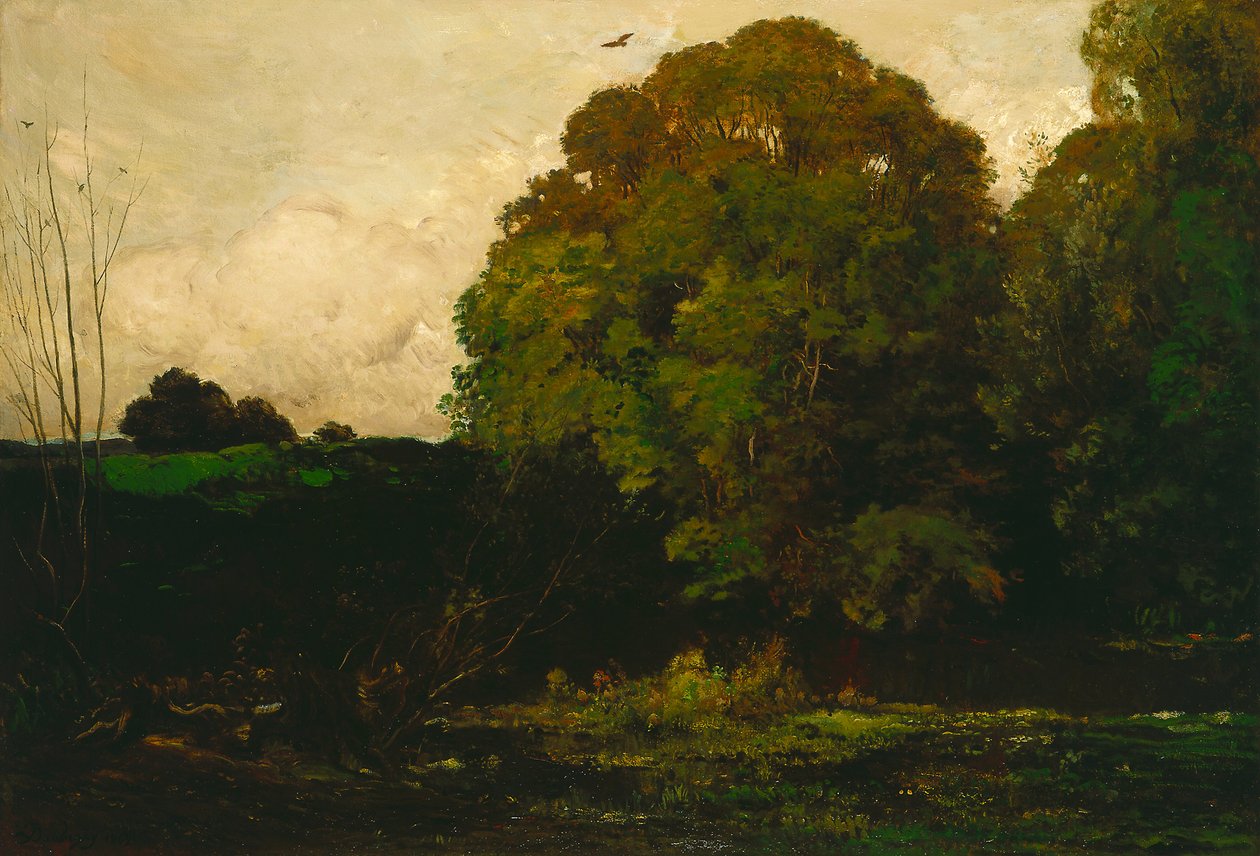 Staw w Morvan autorstwa Charles Francois Daubigny