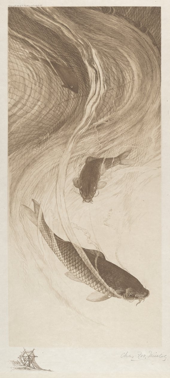 W oczkach autorstwa Charles Frederick William Mielatz