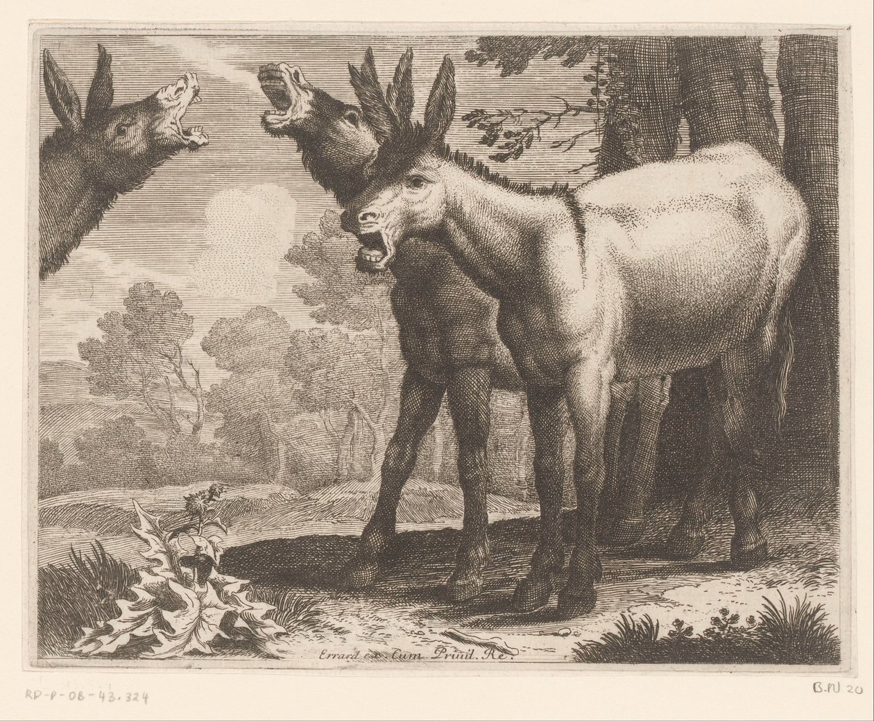 ryczące osły Seria zwierzęca (tytuł serii) autorstwa Charles II Errard (attributed to)