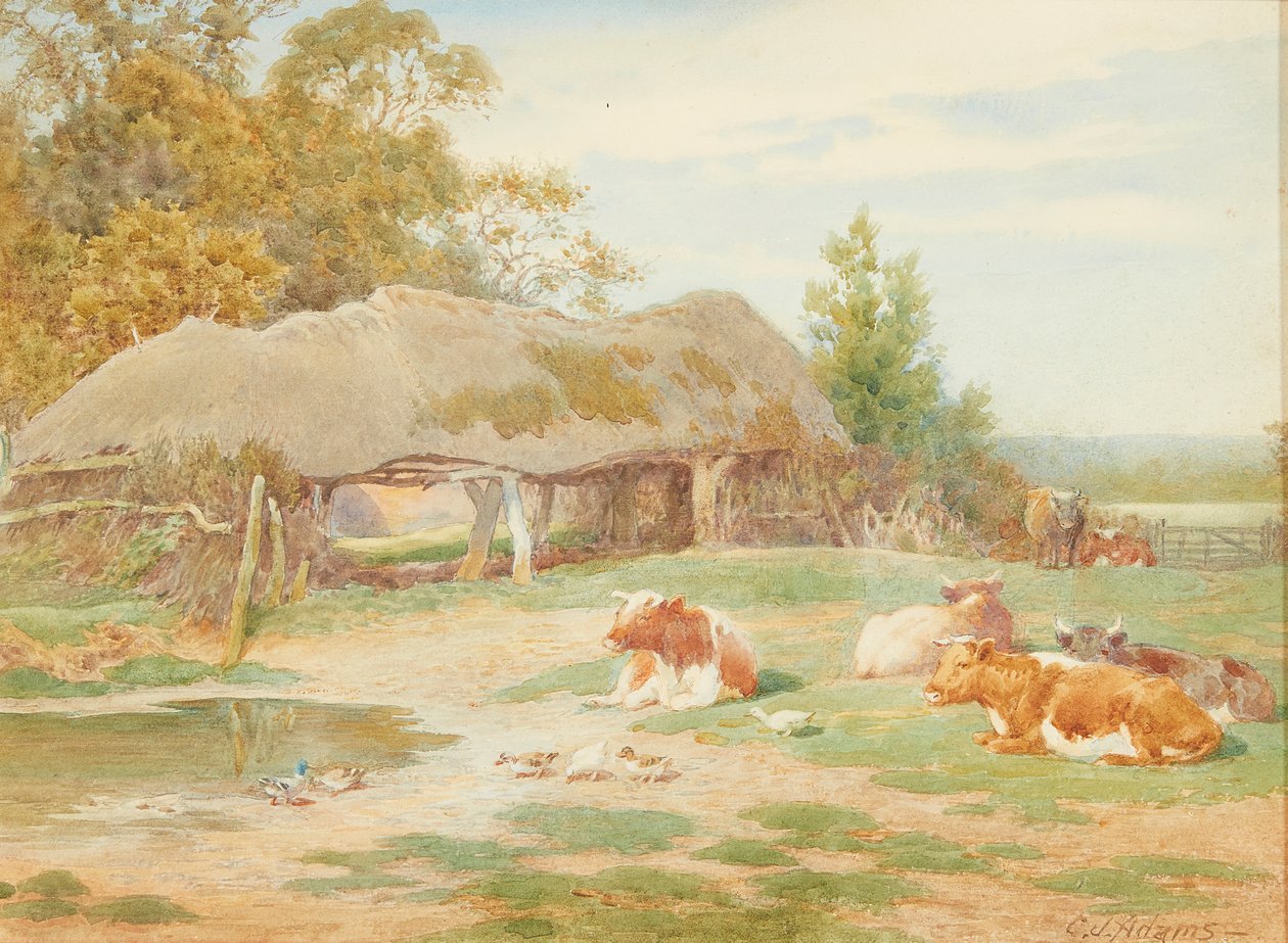 Odpoczynek bydła (akwarela) autorstwa Charles James Adams
