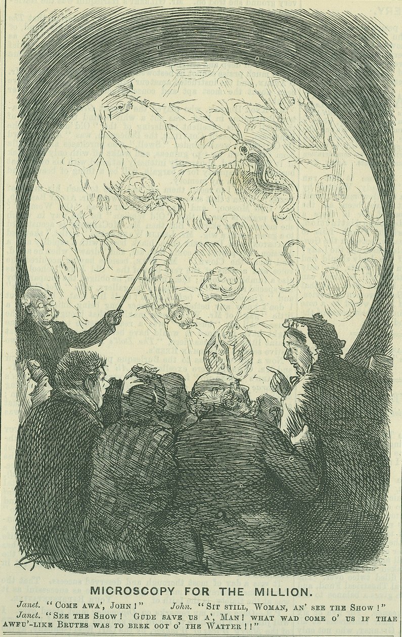Mikroskopia dla Milionów: 1878 (grawerowanie) autorstwa Charles Keene