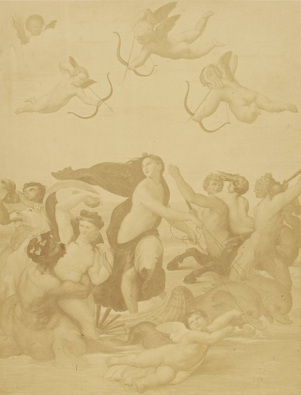[Reprodukcja Galatei autorstwa Raphaëla]. autorstwa Charles Marville