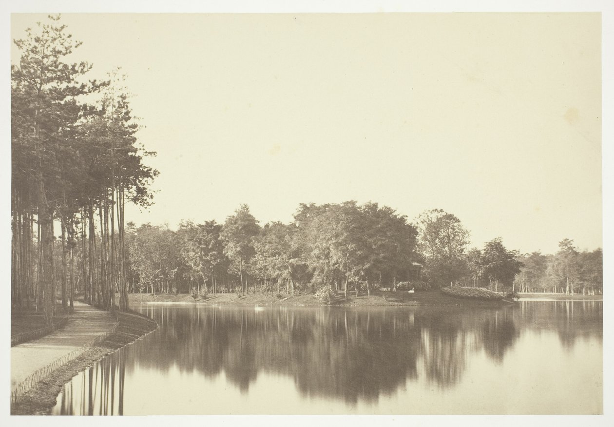 Nieuprawny autorstwa Charles Marville