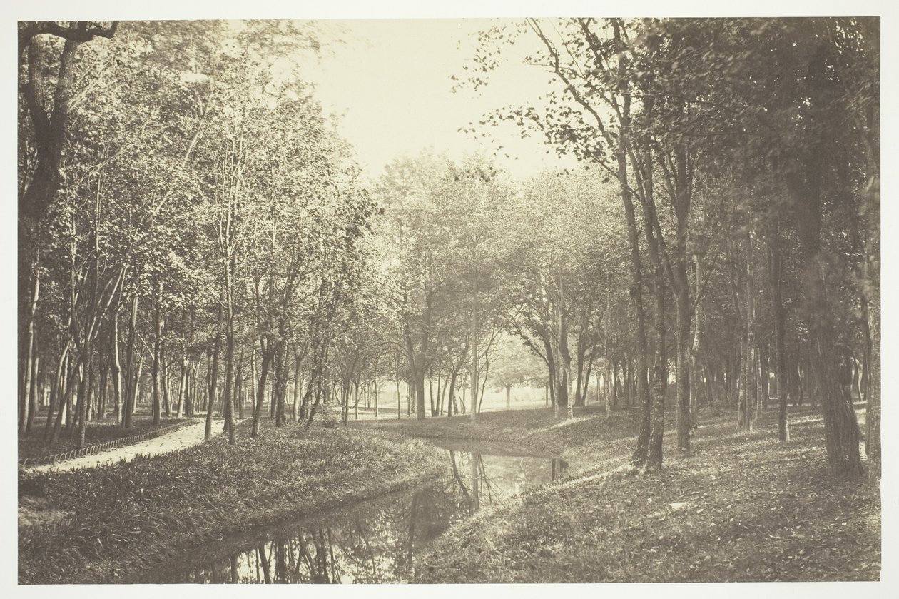 Nieuprawny autorstwa Charles Marville