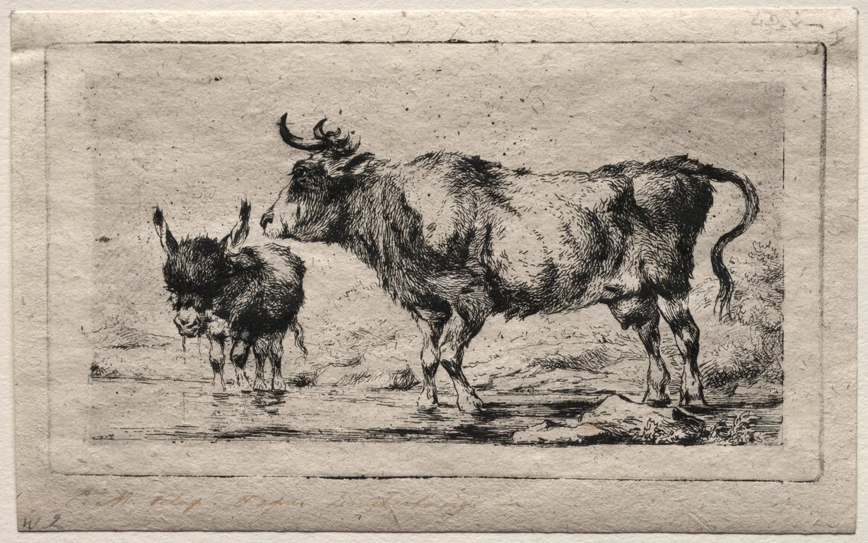 Krowa i Osioł, 1849. autorstwa Charles Meryon
