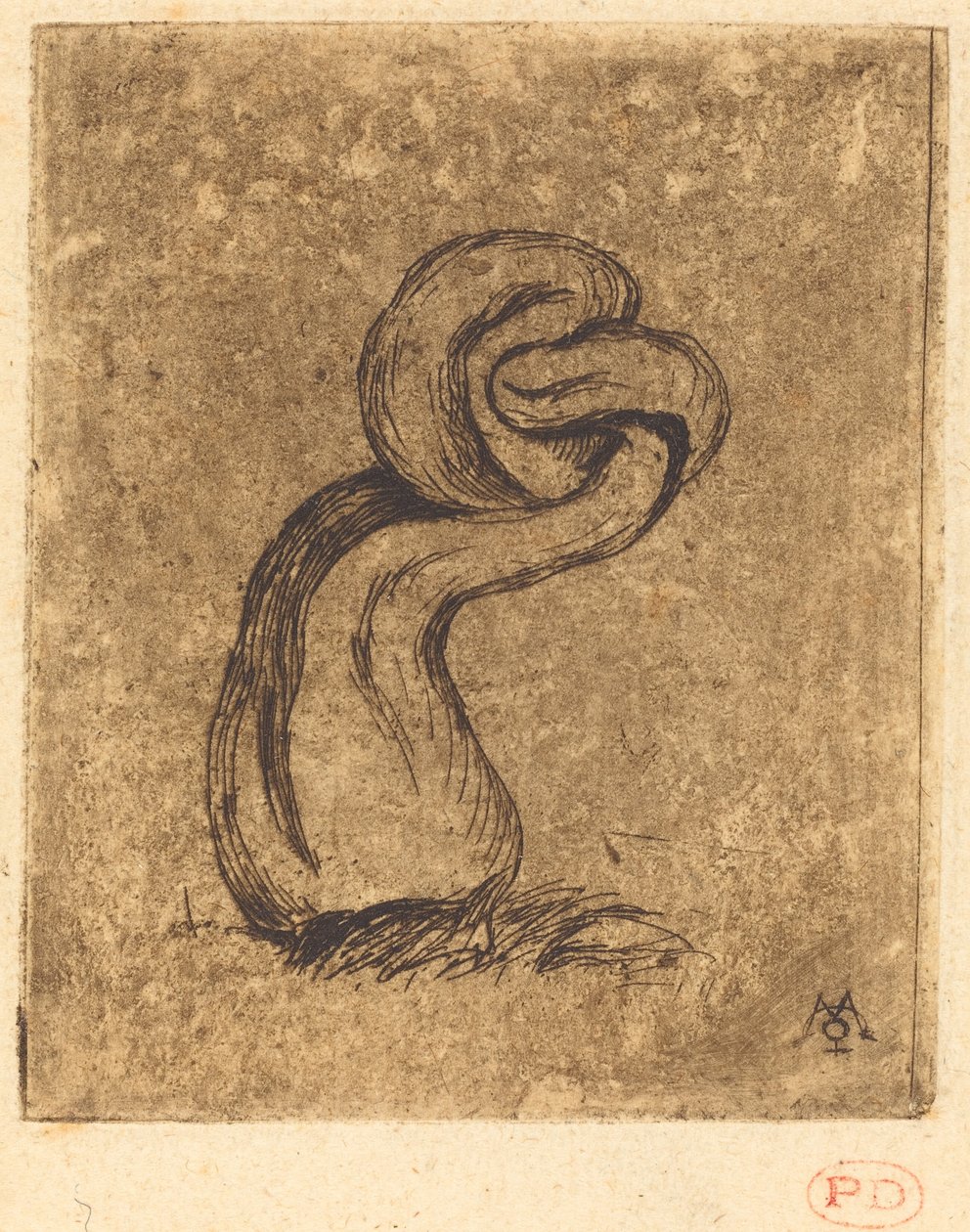 Kryptowaluta Le malingre (Sickly Cryptogam) autorstwa Charles Meryon