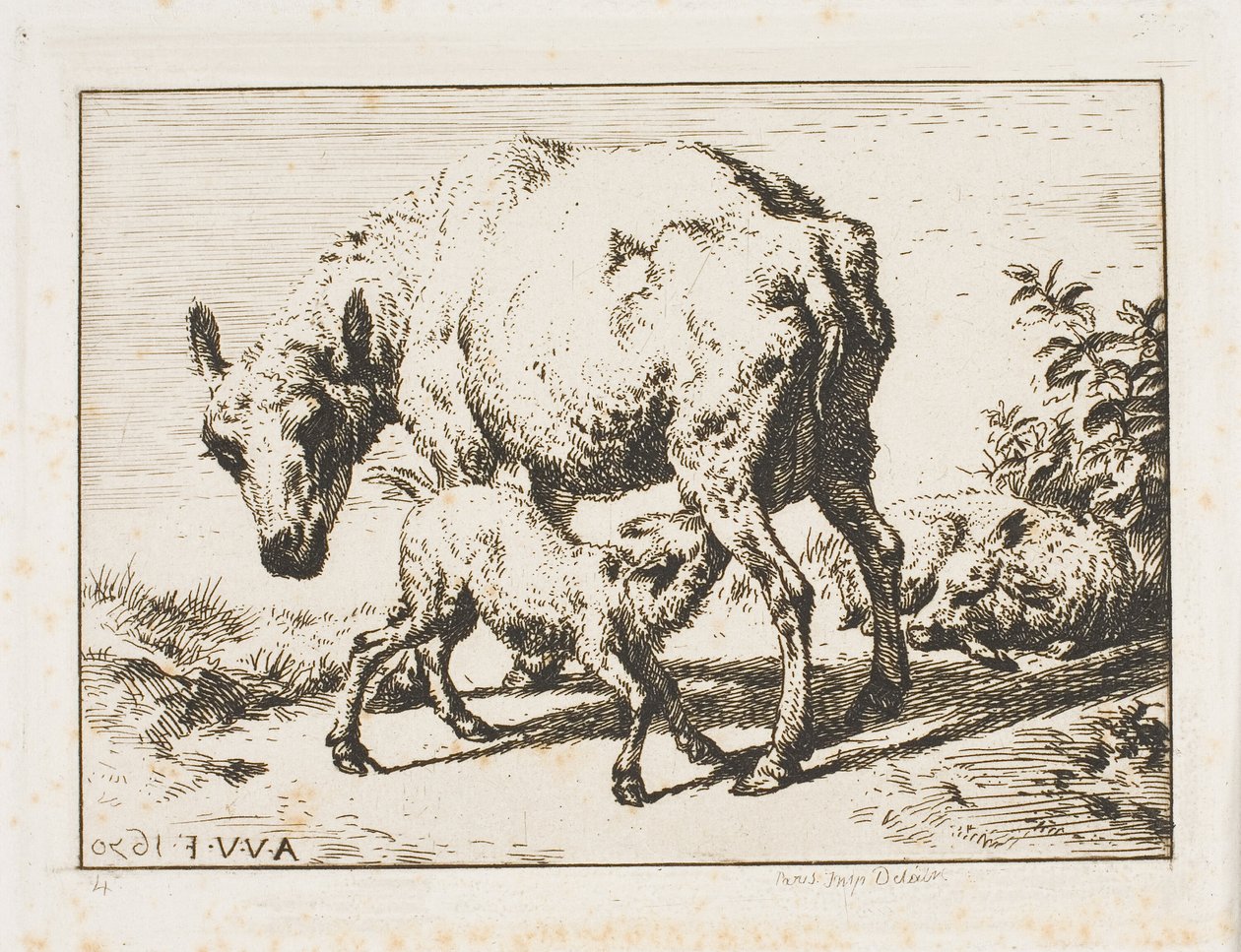Owca z dwoma owcami autorstwa Charles Meryon