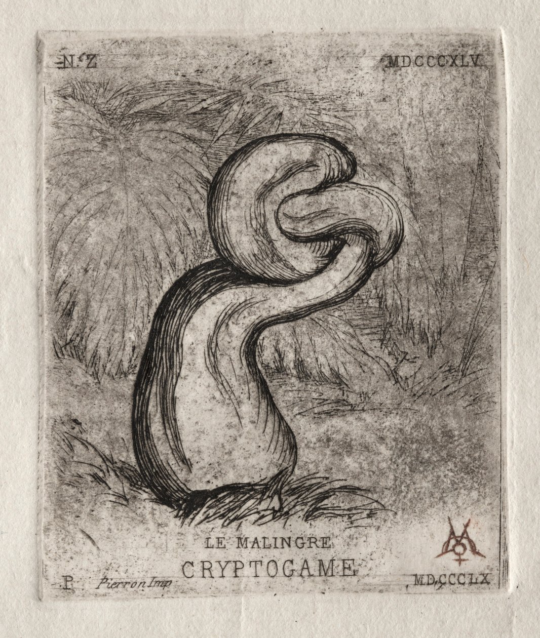Chory Kryptogam, 1860. autorstwa Charles Meryon