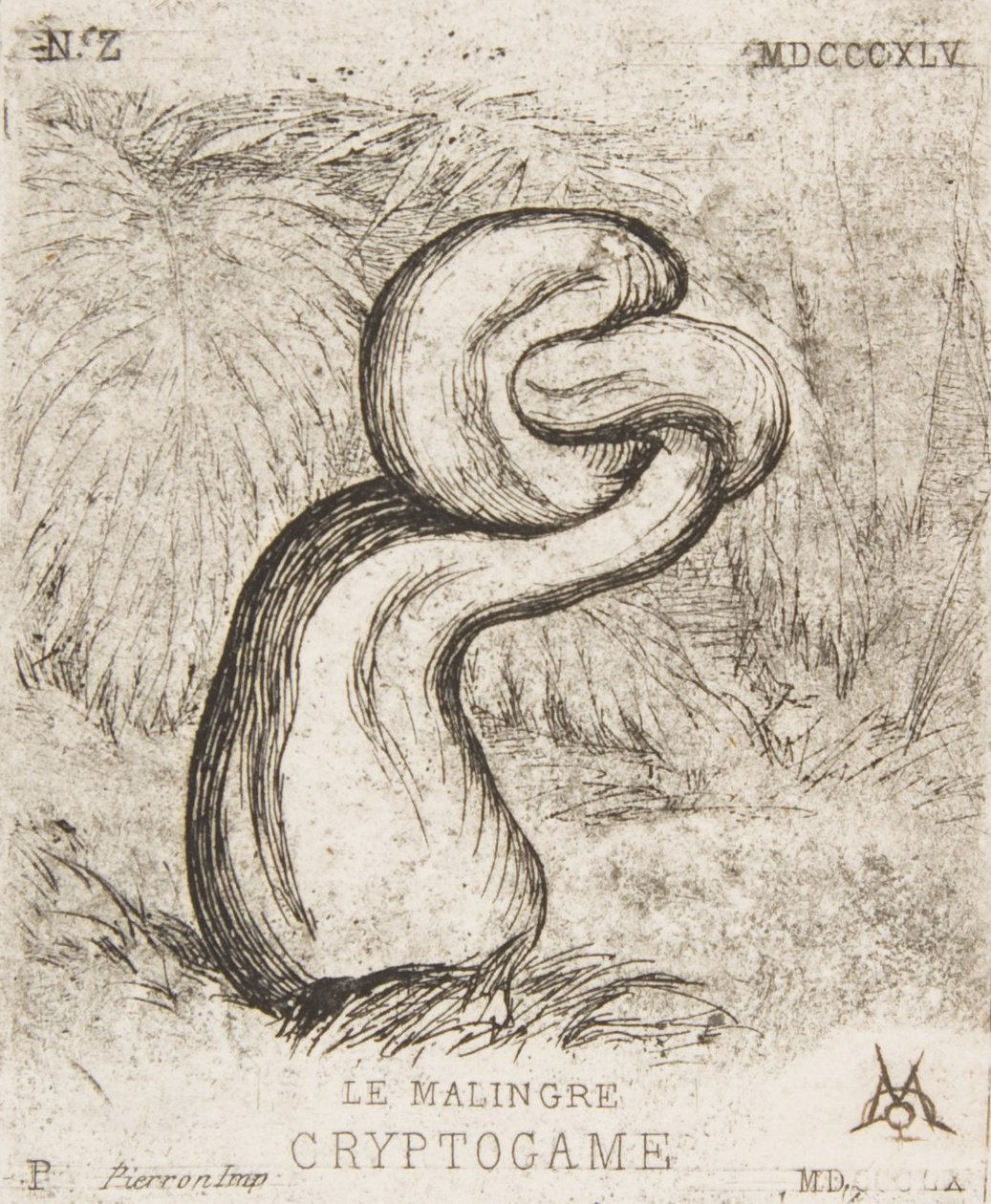 Mała Kryptogamia, 1860. autorstwa Charles Meryon