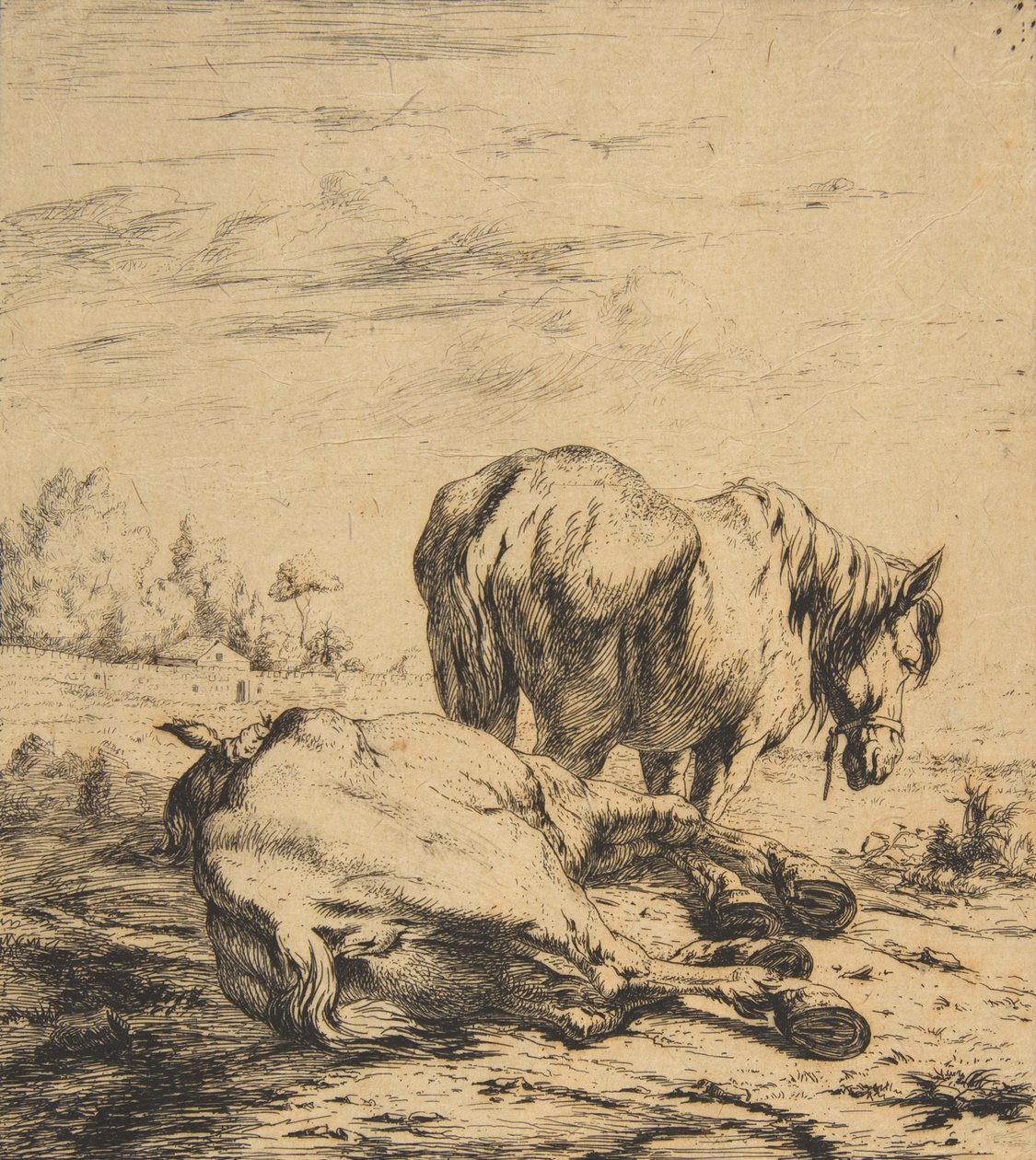 Dwa konie, 1850. autorstwa Charles Meryon