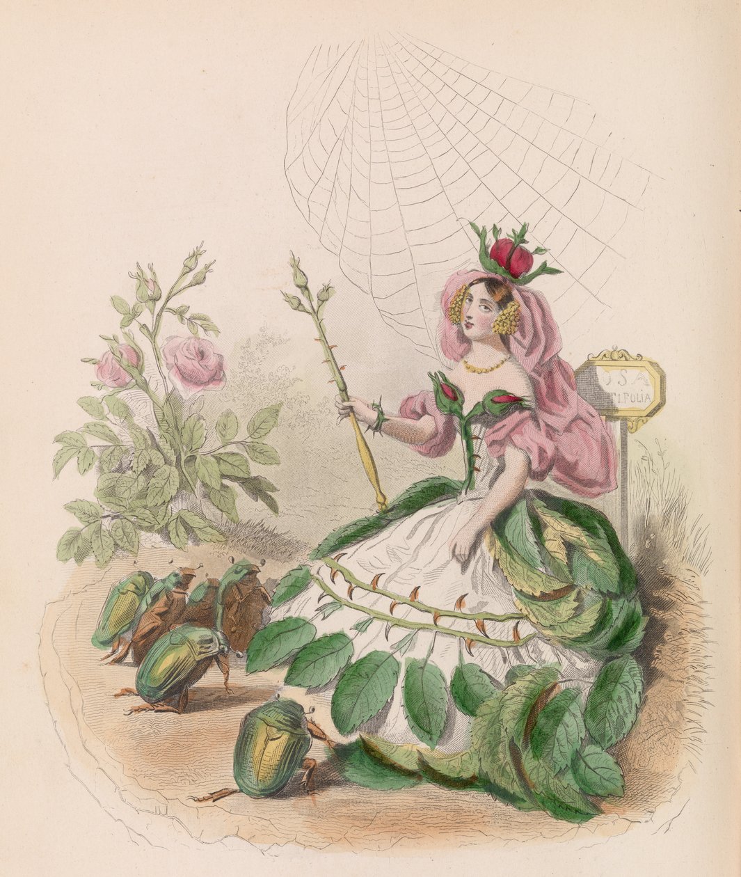 Animowane Kwiaty, 1867. autorstwa Charles Michel Geoffroy