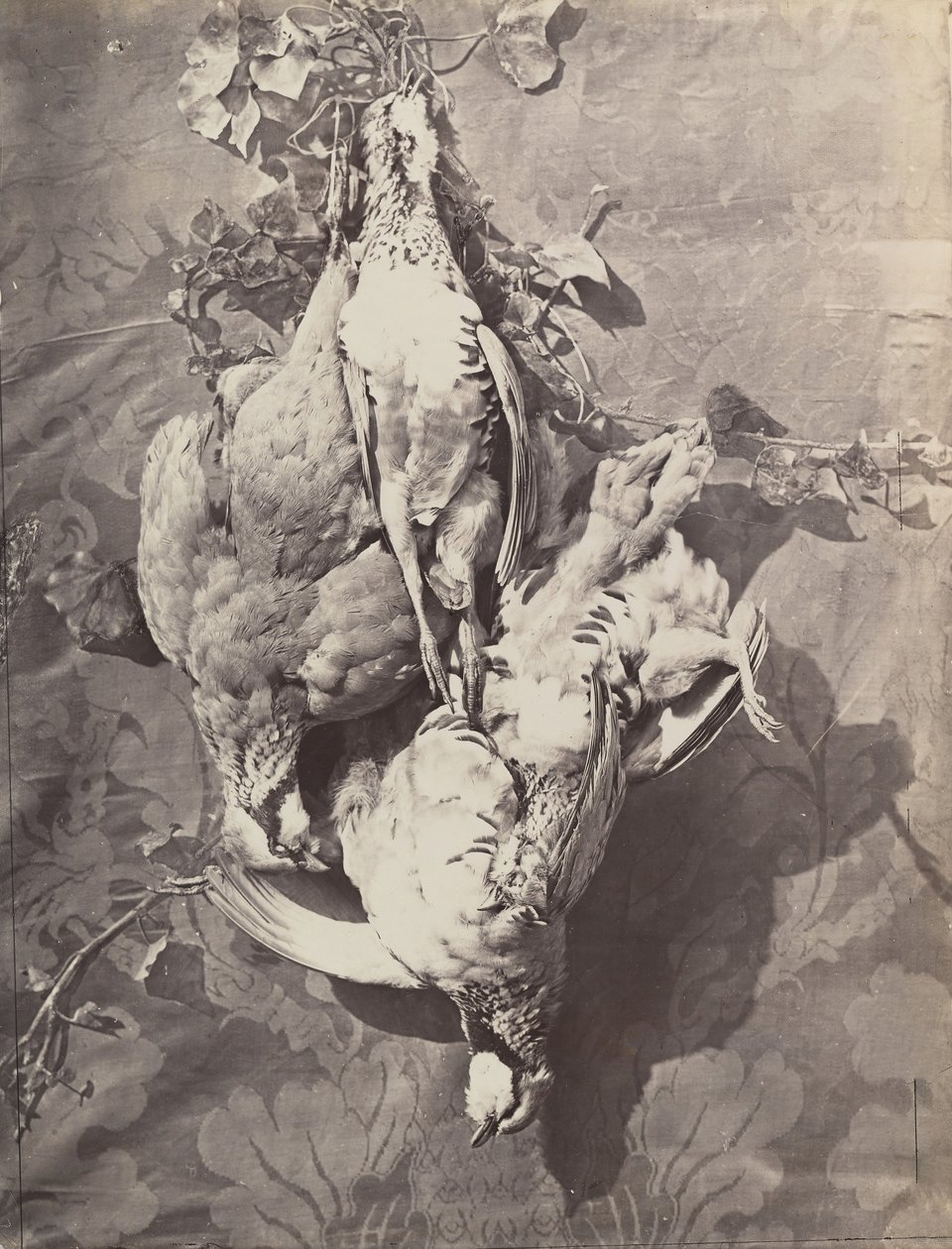 [Martwa natura z ptaszkami łownymi], 1859. autorstwa Charles Nègre