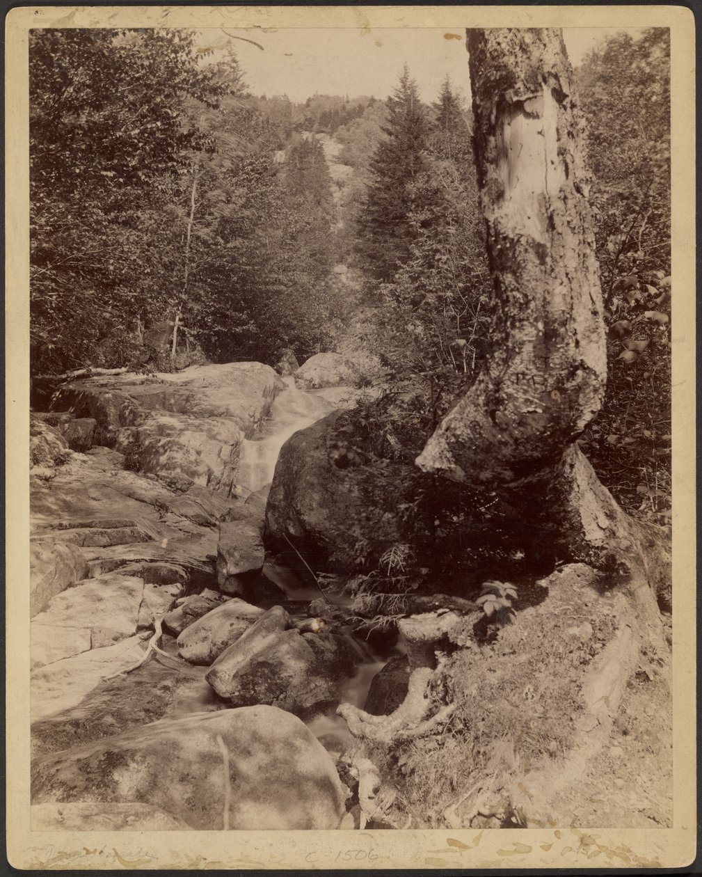 [Strumień kaskadowy] autorstwa Charles P. Hibbard