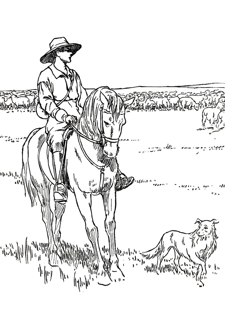 Stacja dla owiec w Australii, 1912 autorstwa Charles Robinson