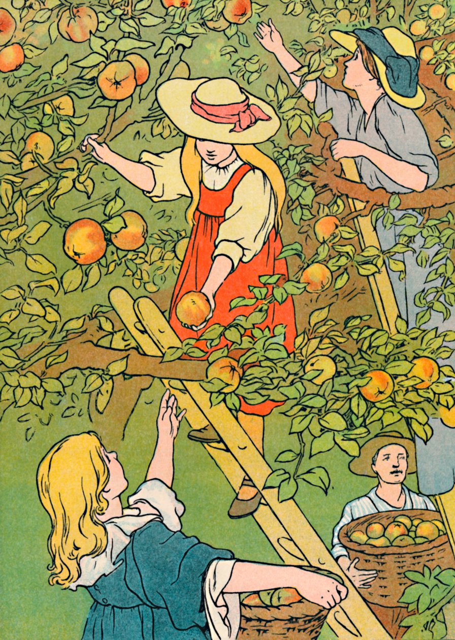Zbieranie owoców, 1912 autorstwa Charles Robinson
