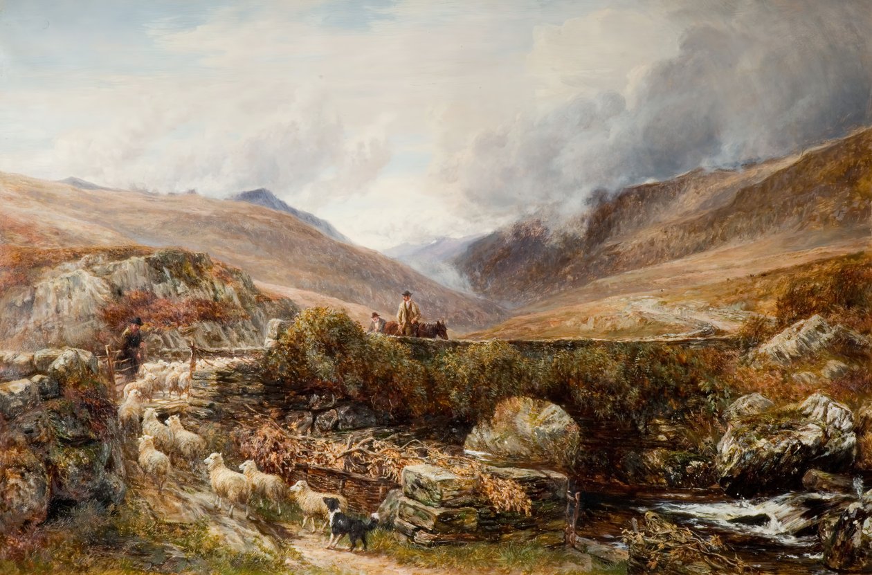 W pobliżu Llanbedr, Barmouth, 1872. autorstwa Charles Thomas Burt