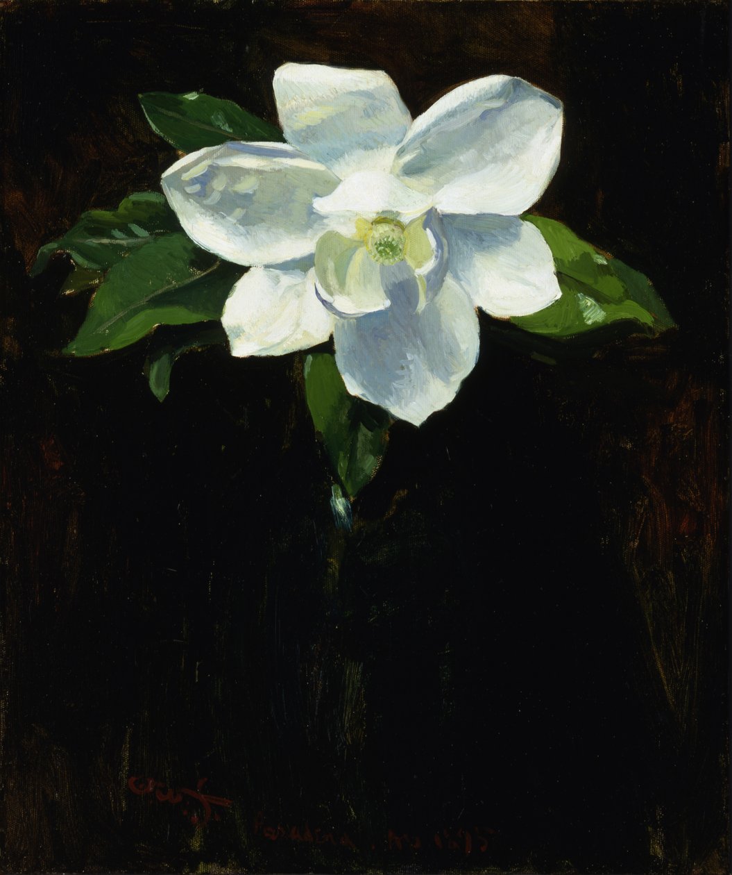 Magnolia, 1895. autorstwa Charles Walter Stetson