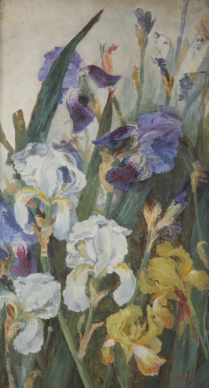 Irysy, 1882 autorstwa Charlotte Hodder