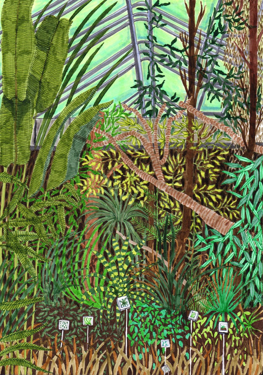 Ogród Botaniczny, 2017 (pędzelki) autorstwa Charlotte Orr