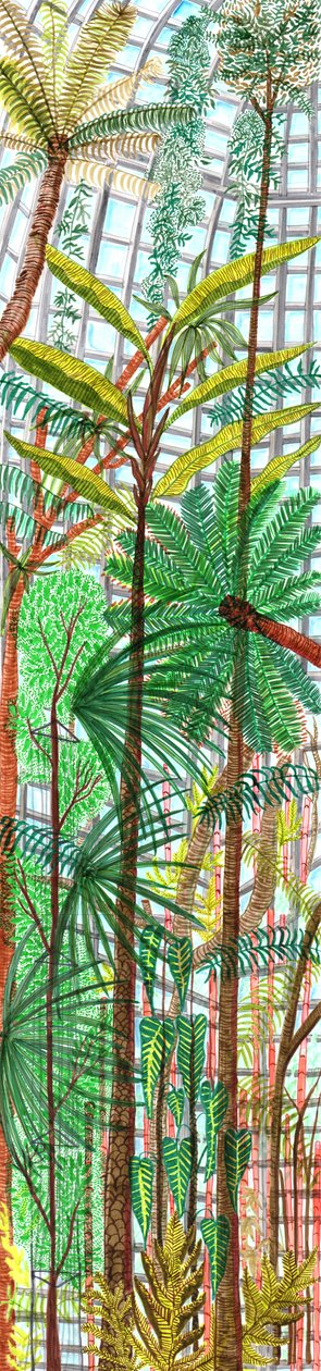 Ogród Botaniczny, 2017 (pędzelki) autorstwa Charlotte Orr