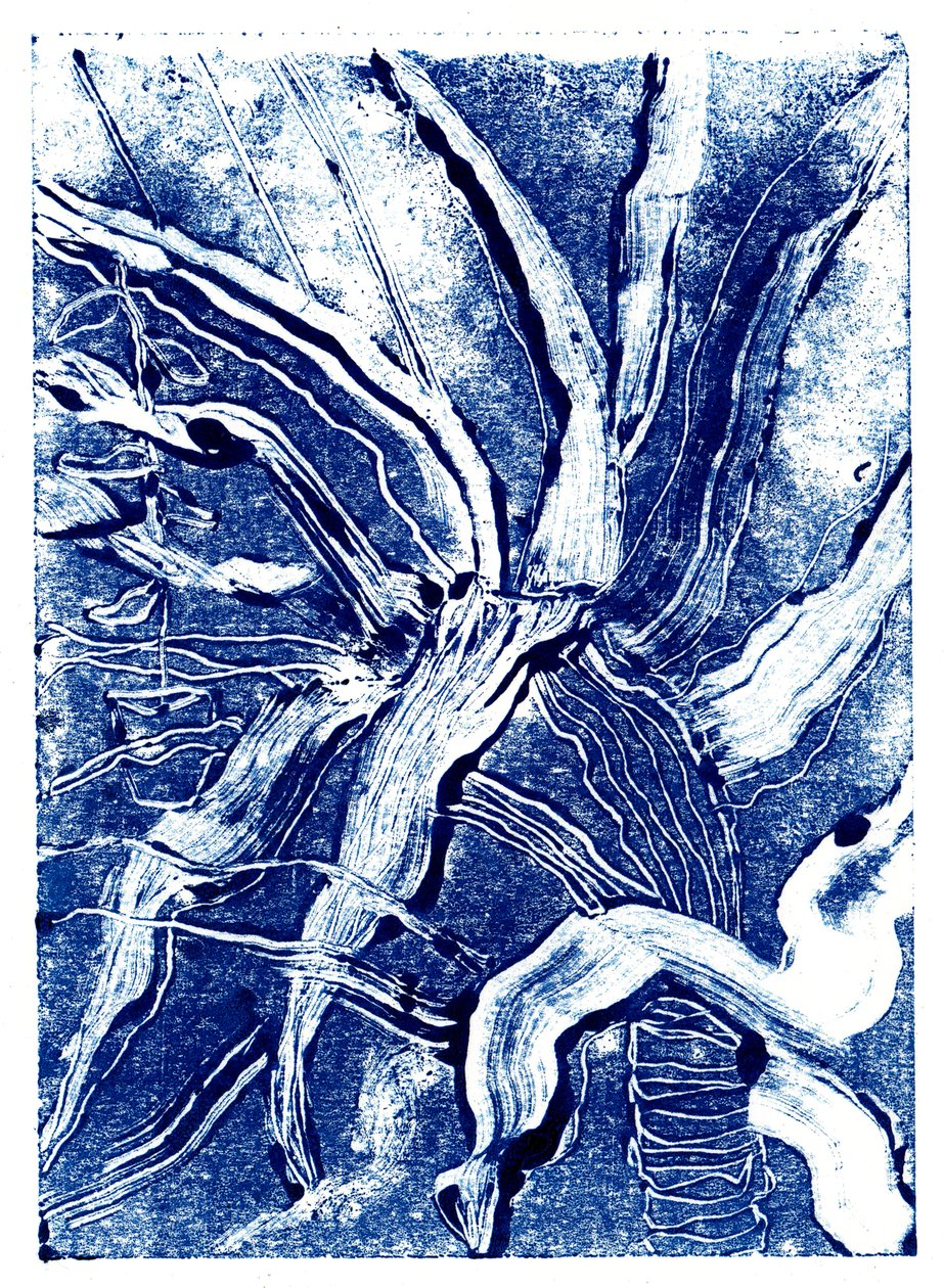 Inky Plants nr 2, 2019 (monodruk) autorstwa Charlotte Orr
