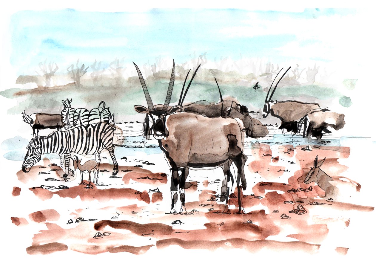 Safari, 2018 (tusz i akwarela) autorstwa Charlotte Orr