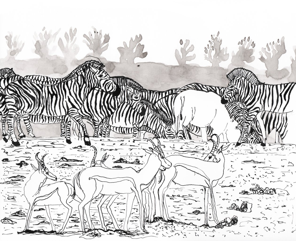 Safari 3, 2018 (tusz i akwarela) autorstwa Charlotte Orr