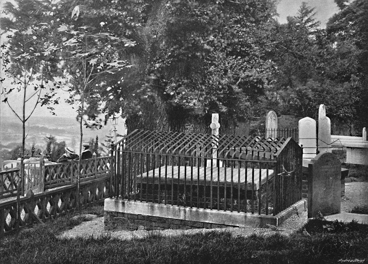 Wiąz Byronsa, Harrow, c1896 autorstwa Chester Vaughan