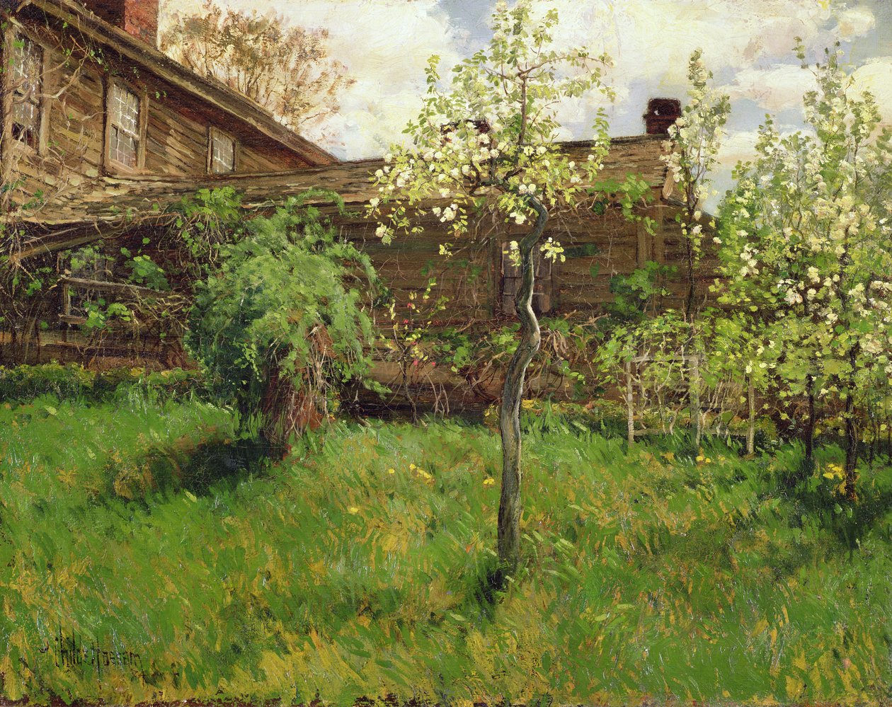 Stary Dom, Dorchester autorstwa Childe Frederick Hassam