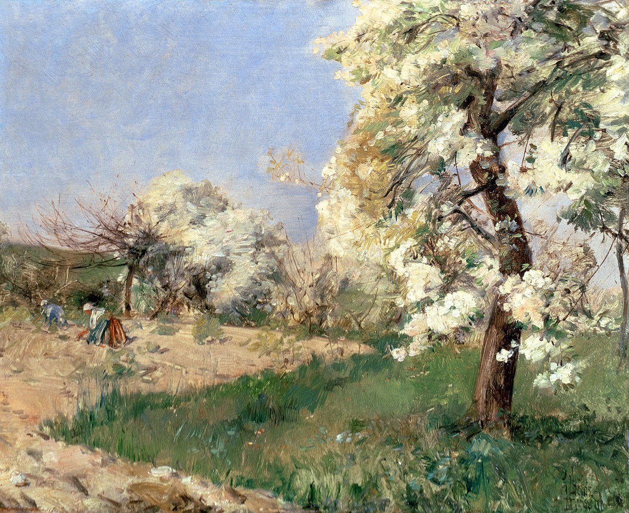 Kwiaty gruszy, Villiers-de-Bel (olej na panelu) autorstwa Childe Frederick Hassam