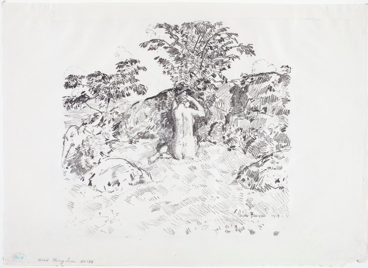 Dzika Czereśnia autorstwa Childe Frederick Hassam