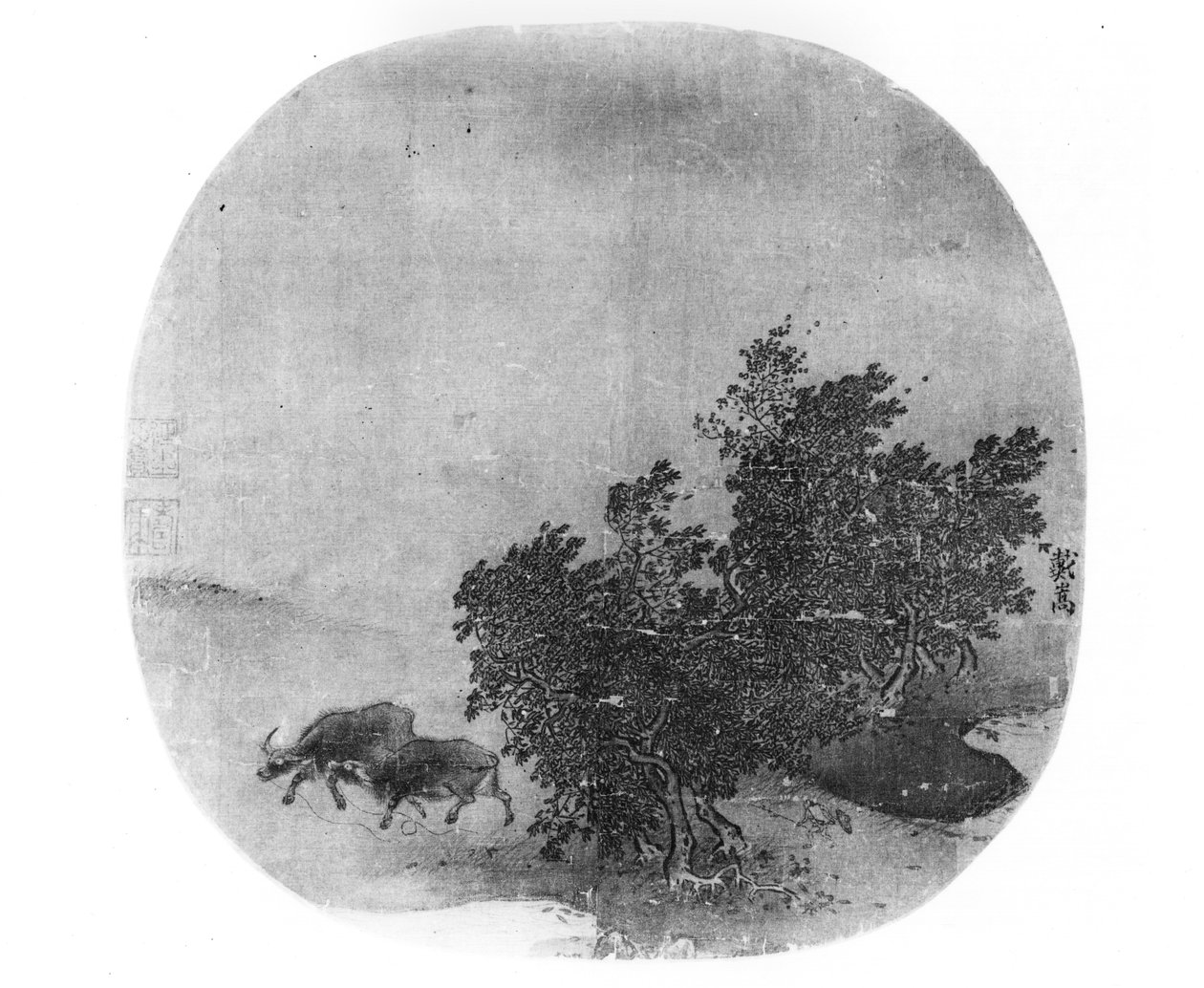Krajobraz z bawołem wodnym, dynastia Song (960-1279) (malowany jedwab) autorstwa Chinese School