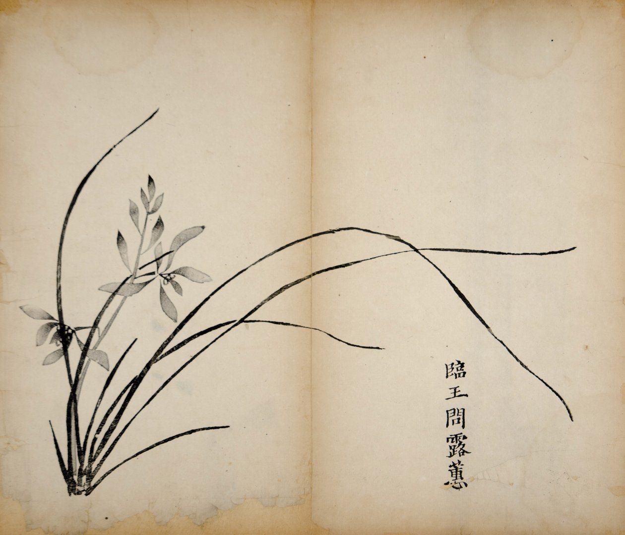 Dziesięć bambusowych odbitek studyjnych, 1643 (drzew) autorstwa Chinese School