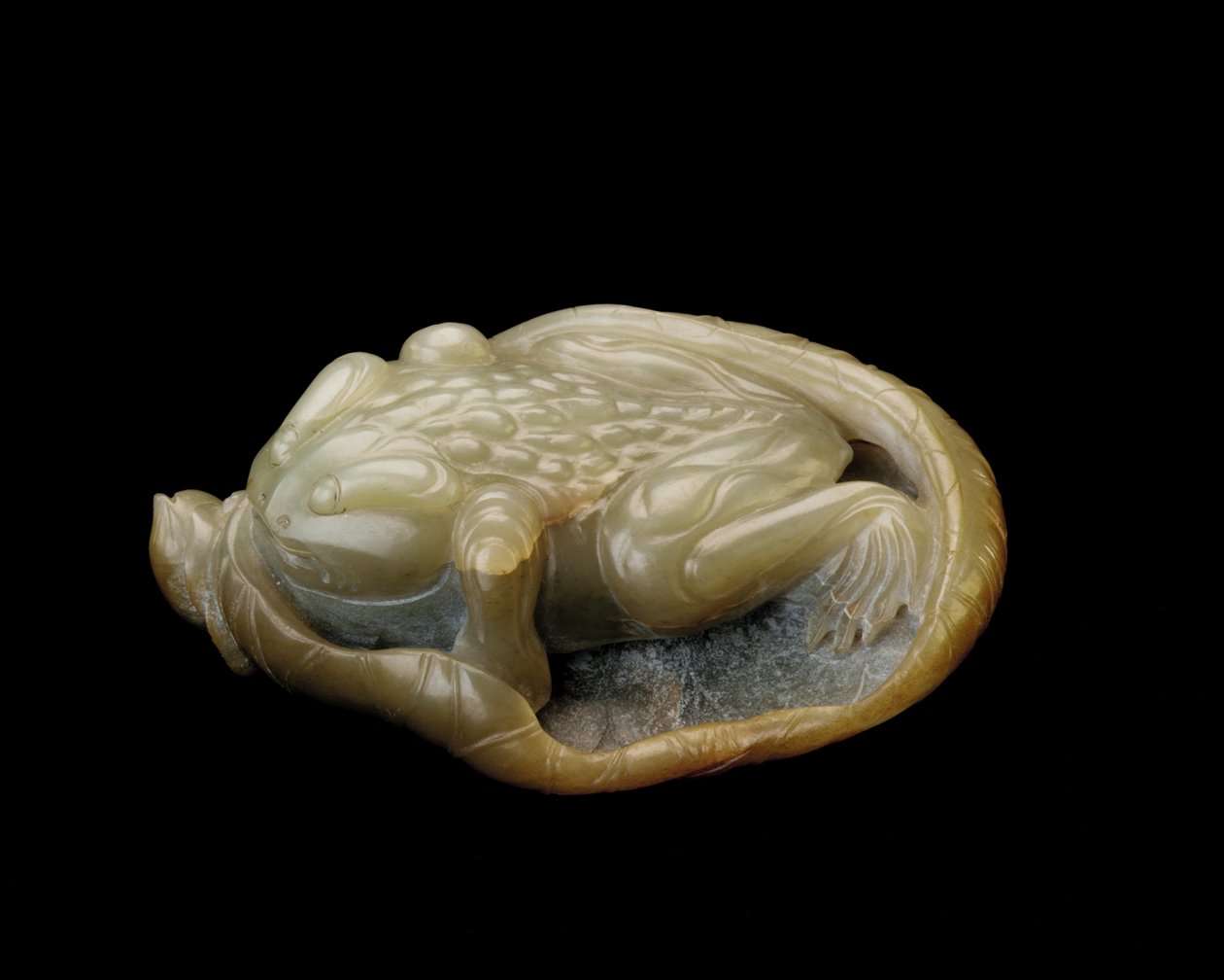 Ropucha na liściu lotosu, 1500-1700 autorstwa Chinese School