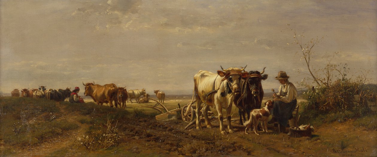Przerwa na posiłek autorstwa Christian Mali