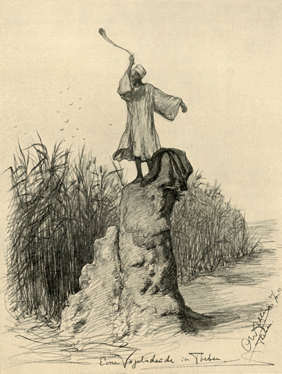 Człowiek straszący ptaki, Teby, Egipt, 1898. autorstwa Christian Wilhelm Allers