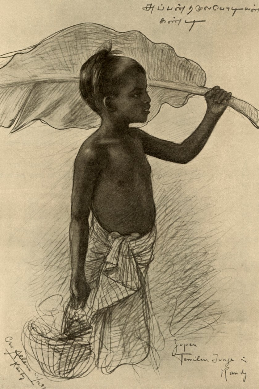 Tamilski chłopiec, Kandy, Cejlon, 1898. autorstwa Christian Wilhelm Allers
