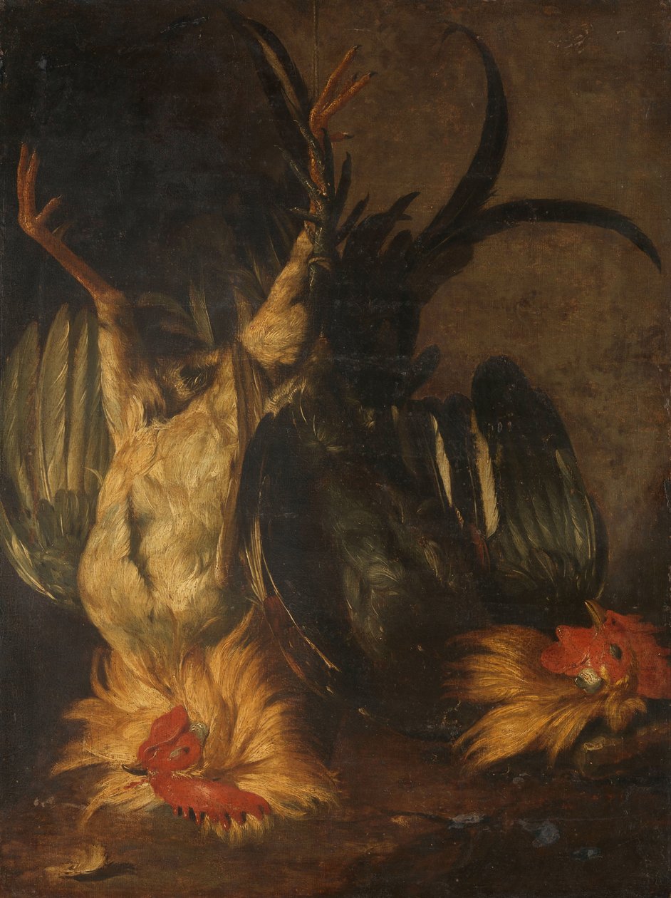 Martwe koguty autorstwa Christoffel Puytlinck