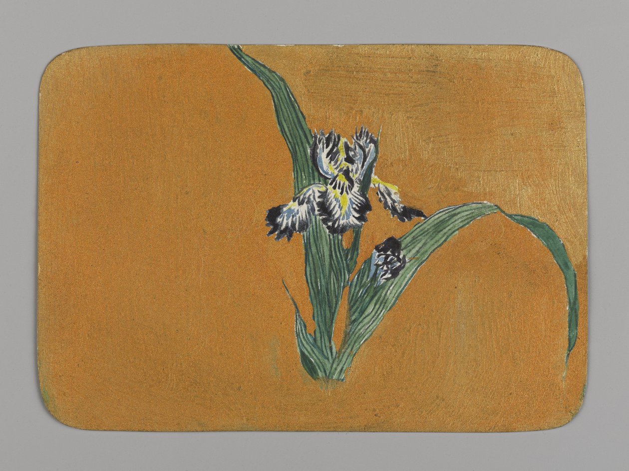 Iris (wc na papierze) autorstwa Christopher Grant La Farge