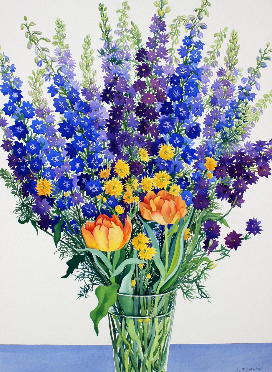 Larkspur i Delphiniums (akwarela na papierze) autorstwa Christopher Ryland