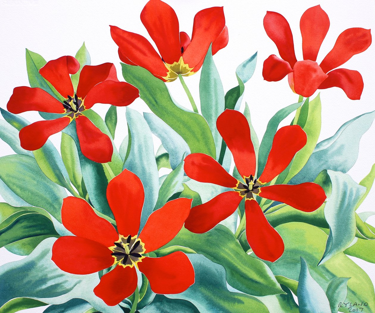 Madame Lefeber Tulipany 2 (akwarela na papierze) autorstwa Christopher Ryland