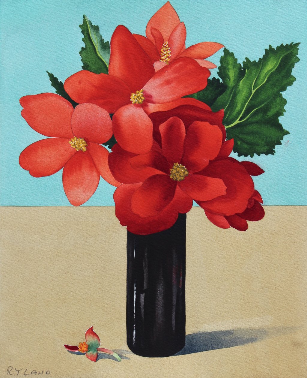 Czerwone Begonie (akwarela na papierze) autorstwa Christopher Ryland