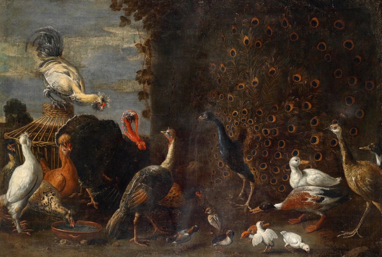 Podwórko kurcząt z indykiem pawim i kaczkami autorstwa Circle of Adriaen van Utrecht
