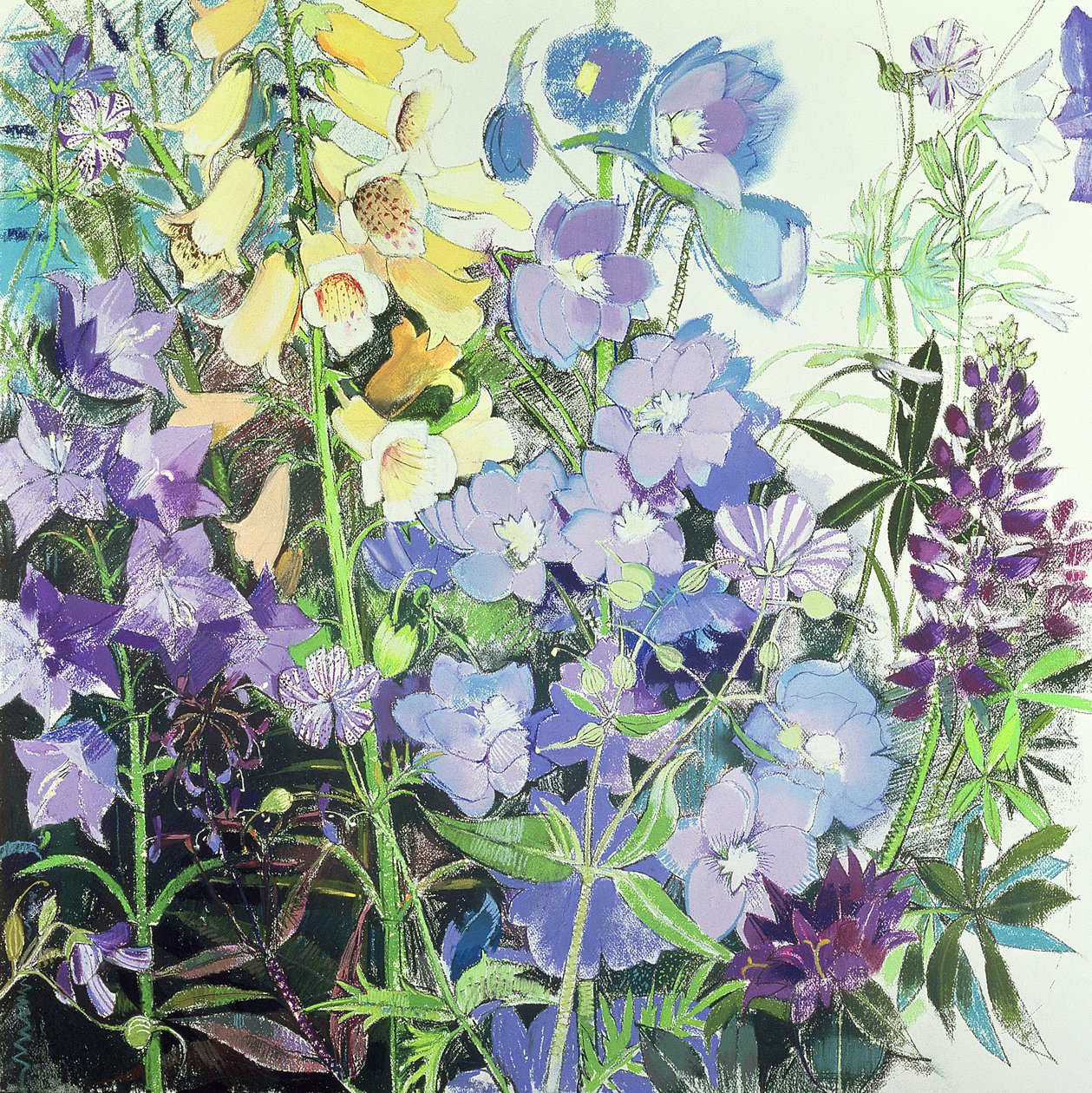 Delphinium i naparstnice autorstwa Claire Spencer