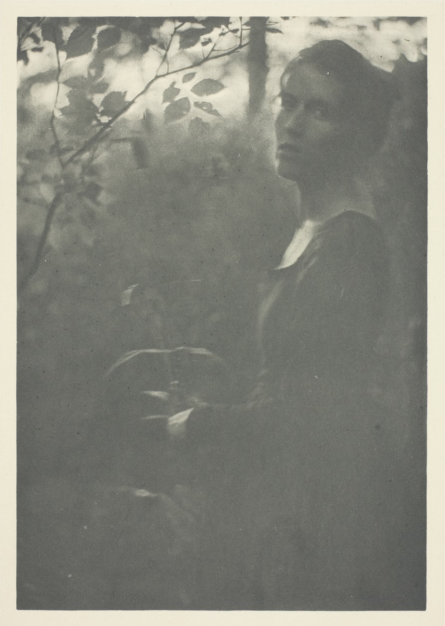 Krawędź Lasu autorstwa Clarence H. White