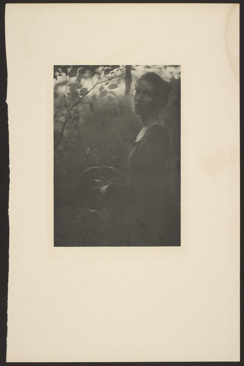 [Edge of the Woods -- Evening] autorstwa Clarence H. White