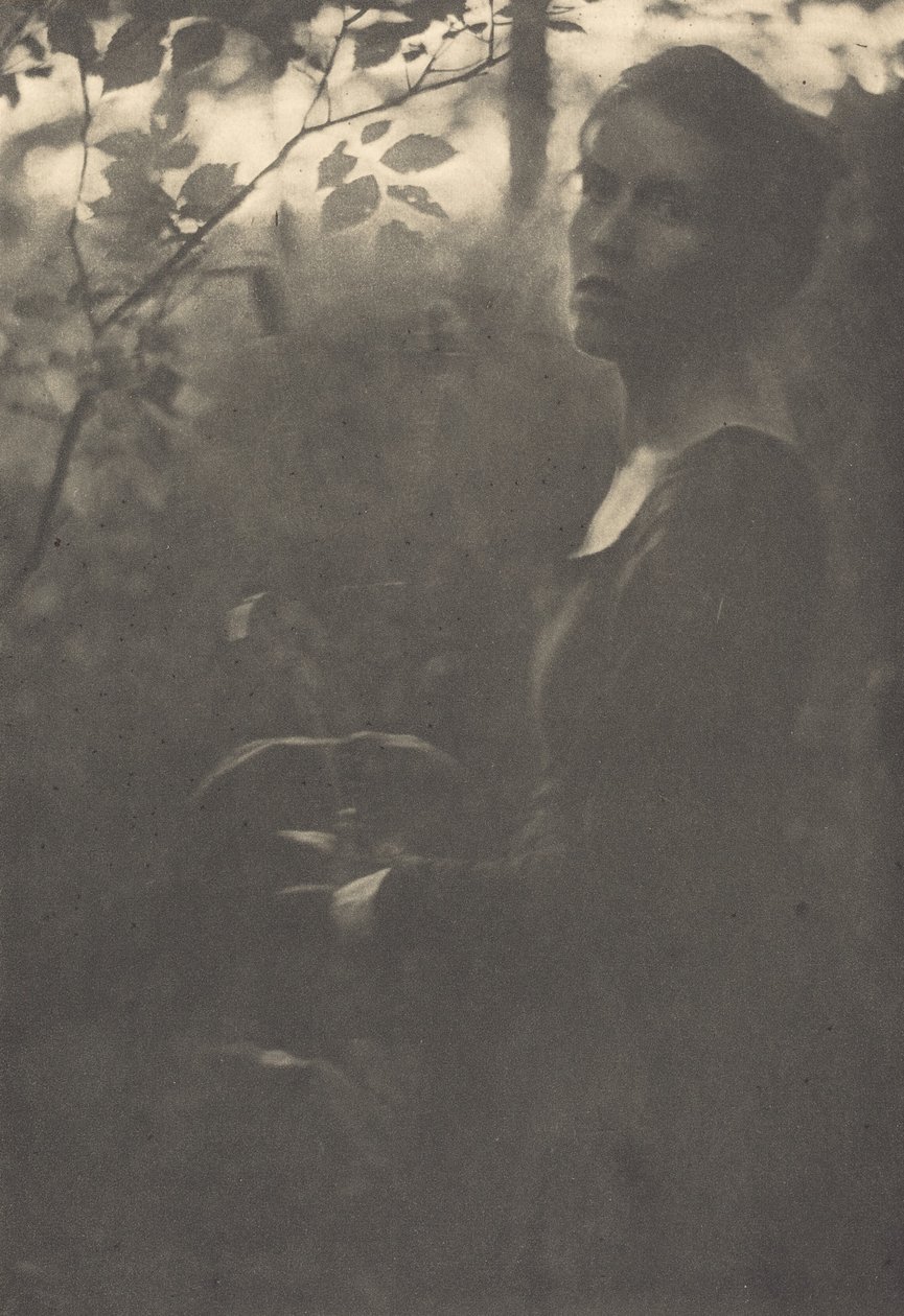 Edge of the Woods, Wieczór, 1900. autorstwa Clarence H White