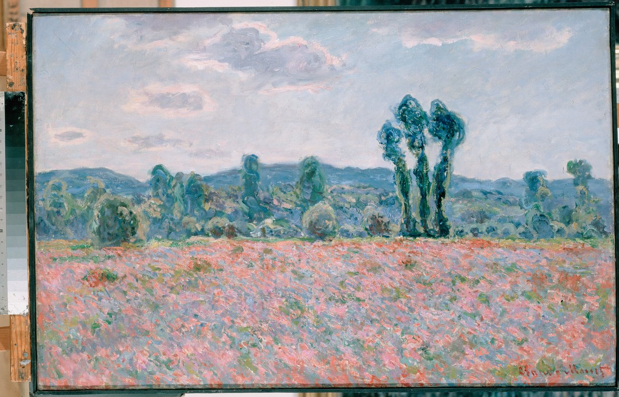 Pole makowe Polski: Pole maków autorstwa Claude Monet