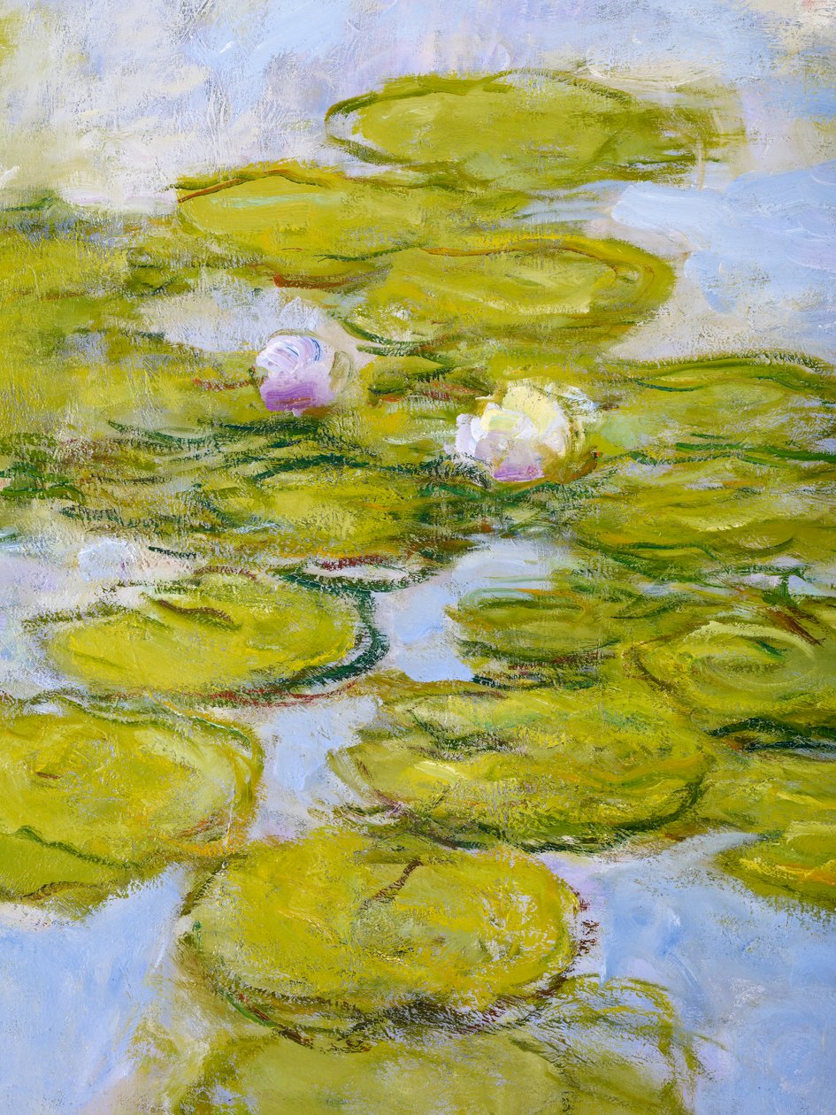 Nympheas, 1916-19 (detal 377597) autorstwa Claude Monet